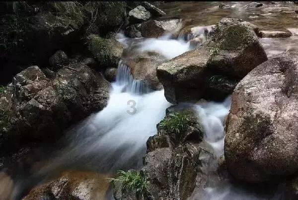 多给“彩礼下降幅度最大”掌声